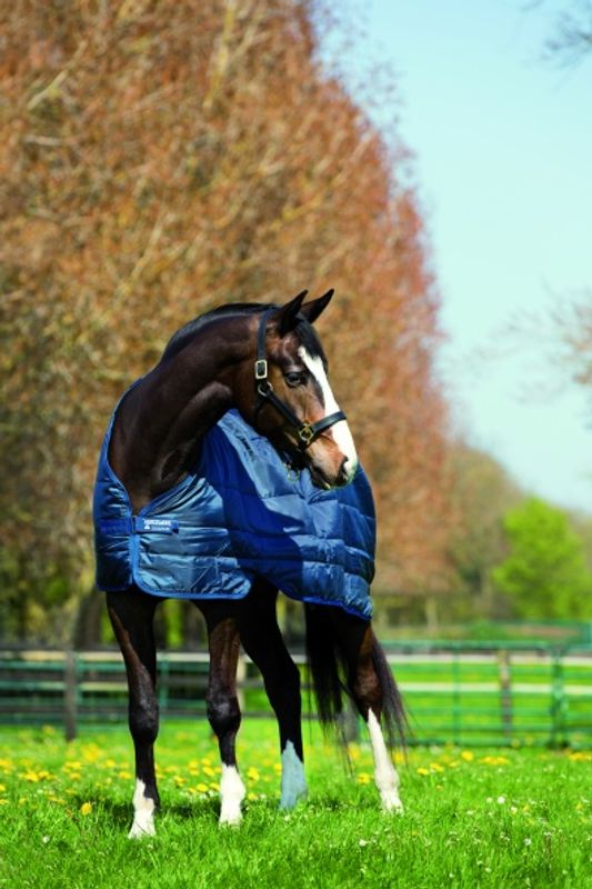 Horseware Liner 200g