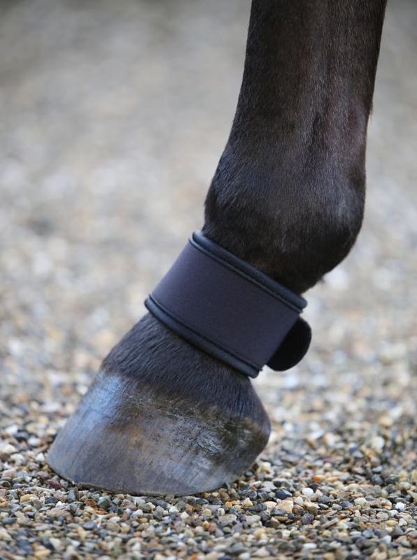 Kentucky Pastern Wrap