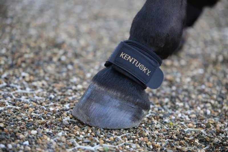 Kentucky Pastern Wrap