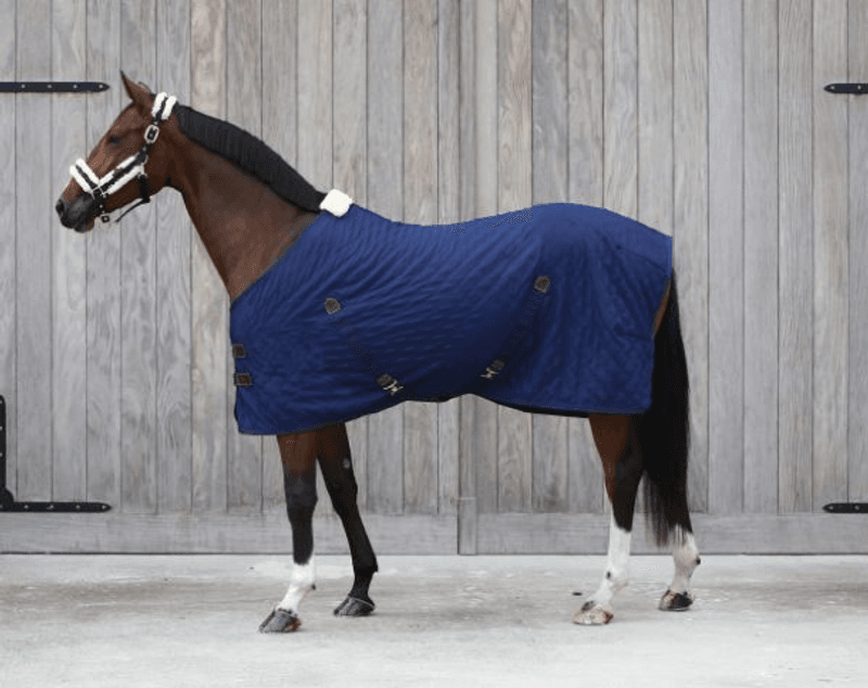 Kentucky Summer Sheet
