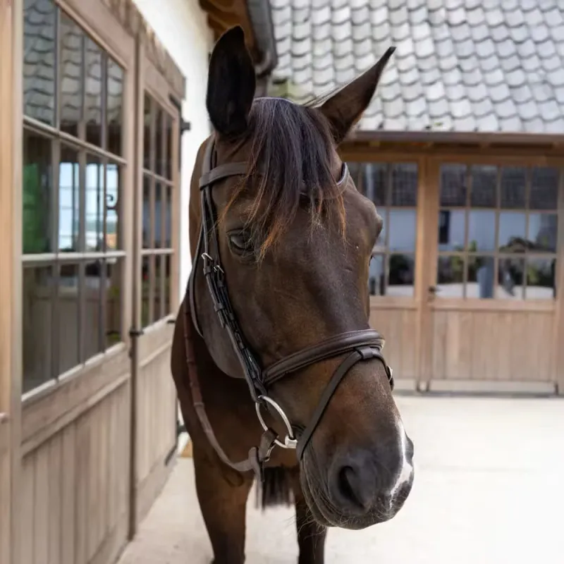 Dyon Flash Noseband Bridle Soft Leather Collection