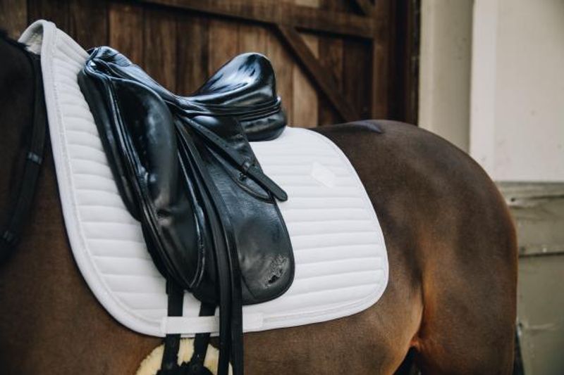 Kentucky Saddle Pad Pearls DR