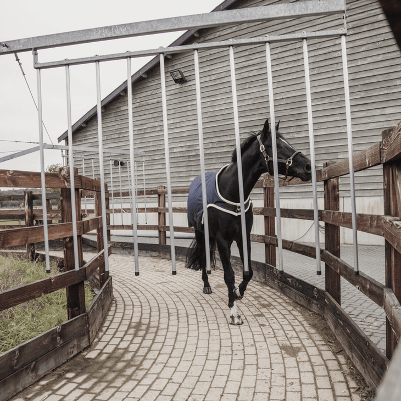 KENTUCKY WALKER RUG 160G WATERPROOF