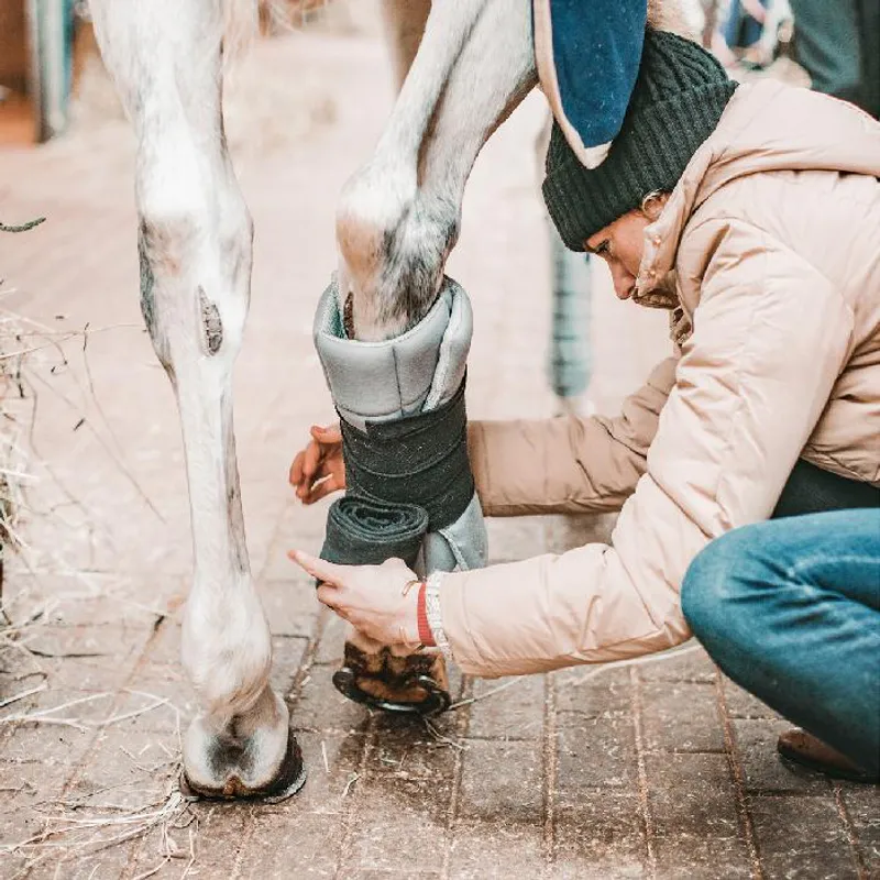 INCREDIWEAR EQUINE Circulation Standing Wraps