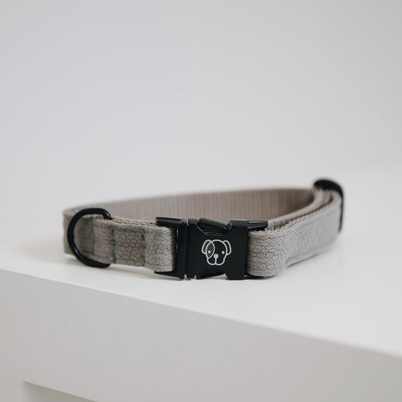 Kentucky Dog Collar Lizard