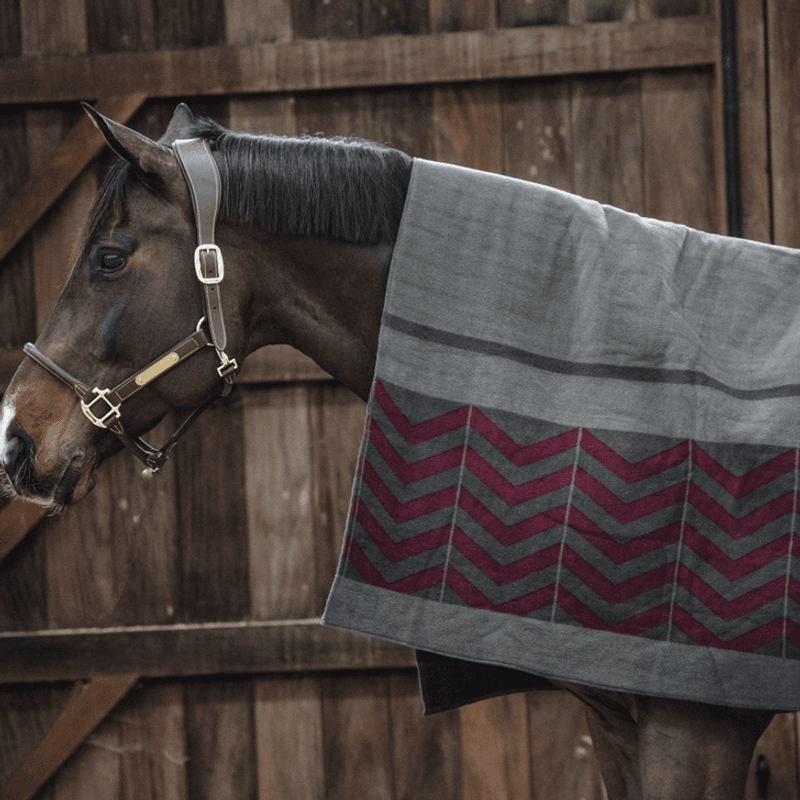 KENTUCKY HEAVY FLEECE RUG SQUARE 210x200CM