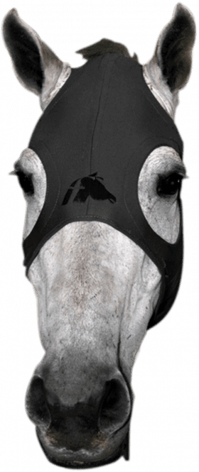 Hovedbilde FENWICK LIQUID TITANIUM MASKE