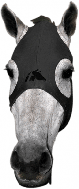 FENWICK LIQUID TITANIUM MASKE