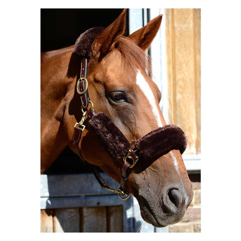 Kentucky Sheepskin Shipping Halter