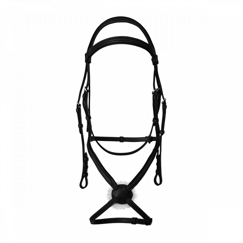Butet Raised figure 8 sports noseband bridle