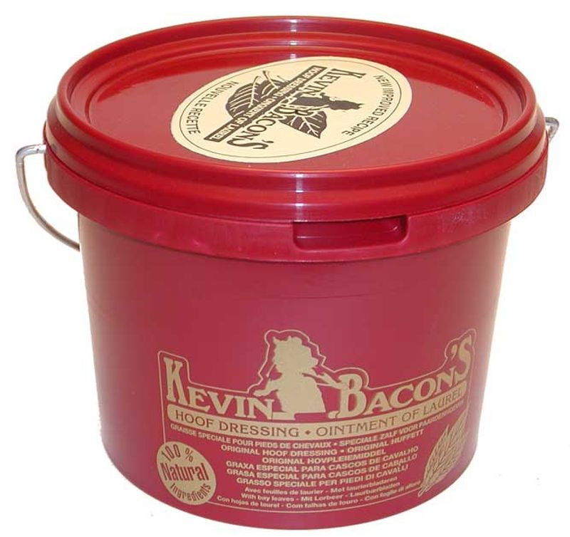 Kevin Bacon Hovfett 1L.