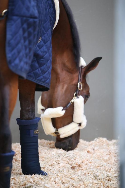 Kentucky Stable Bandage Pad