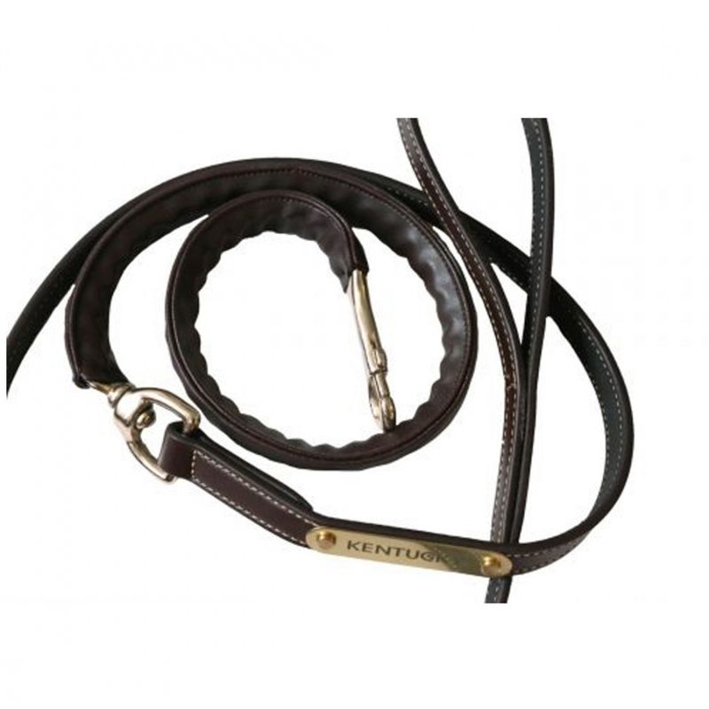 Kentucky Leather Covered Chain Lead