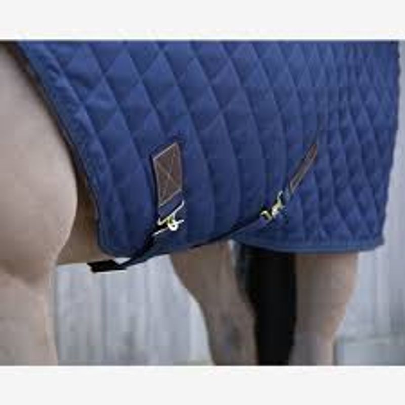 Kentucky Walker Rug 160gr