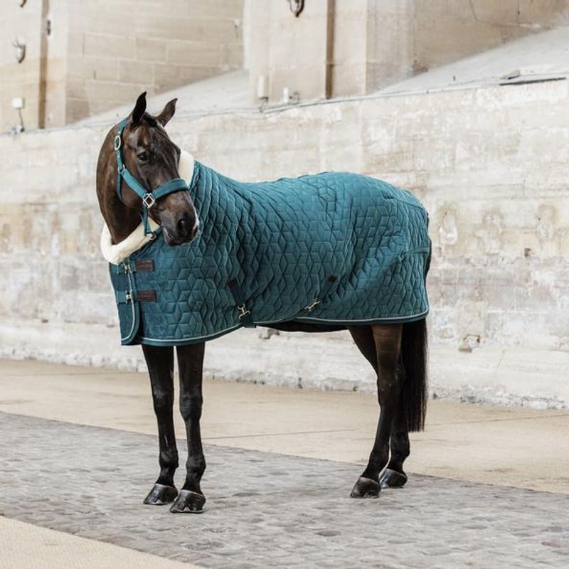 Kentucky Velvet Showrug 