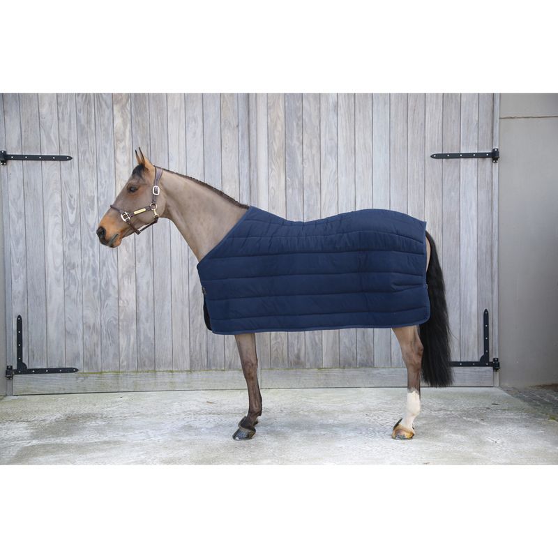 Kentucky Under Rug Skin Friendly 300gr