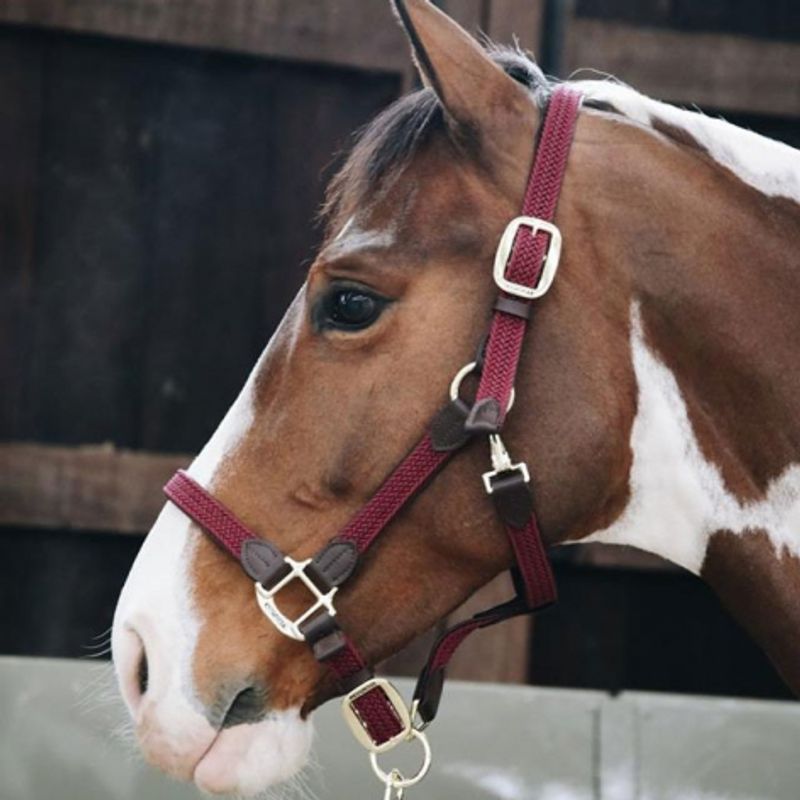 Kentucky Nylon Plaited Halter