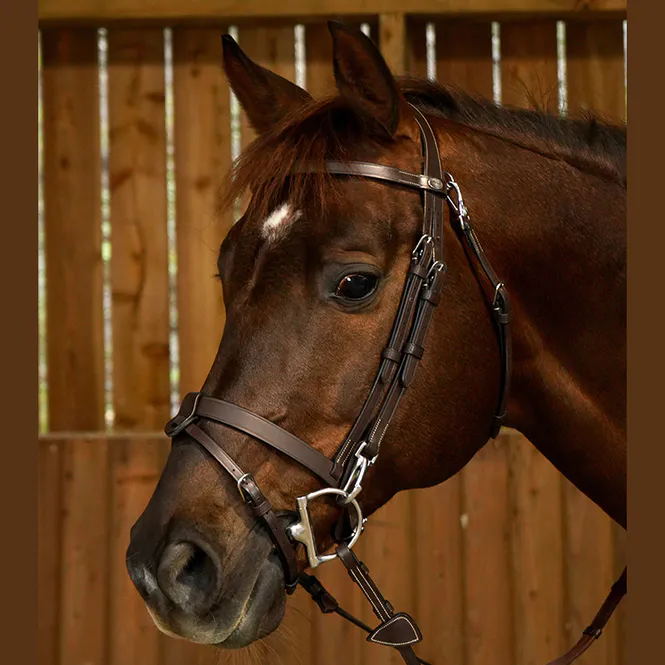 Hovedbilde Dyon Flat Leather Bridle With ...