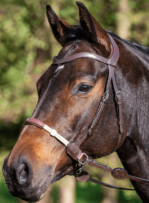 Hovedbilde Dyon Bitless Bridle La Cense