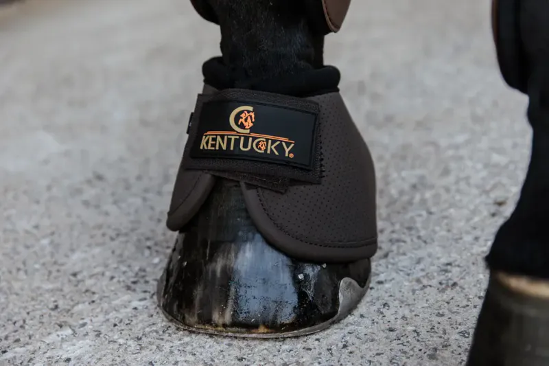 Kentucky overreach boots air tech