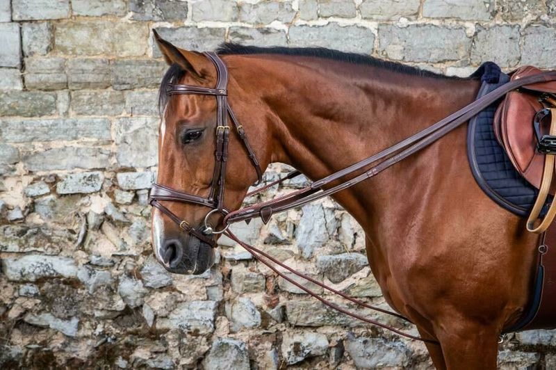 Dyon Leather/Nylon Draw Reins 16mm D Collection