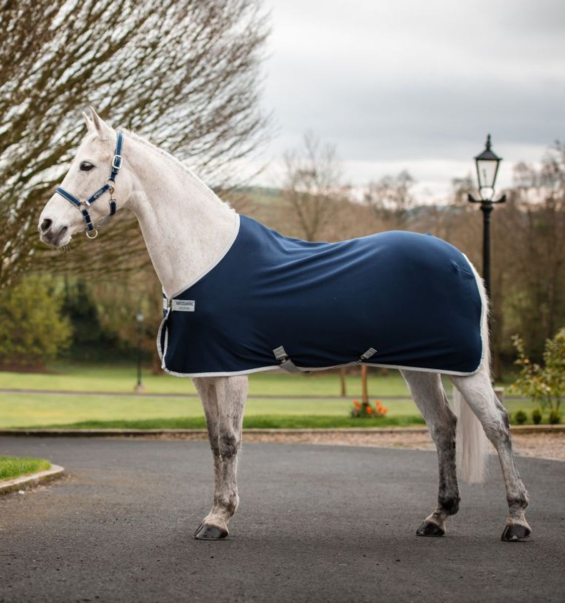 Horseware Amigo Jersey Cooler med eller uten brodering