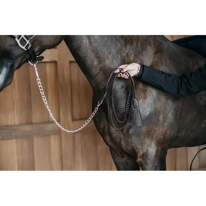 Hovedbilde Dyon Plaited Lead With Chain ...
