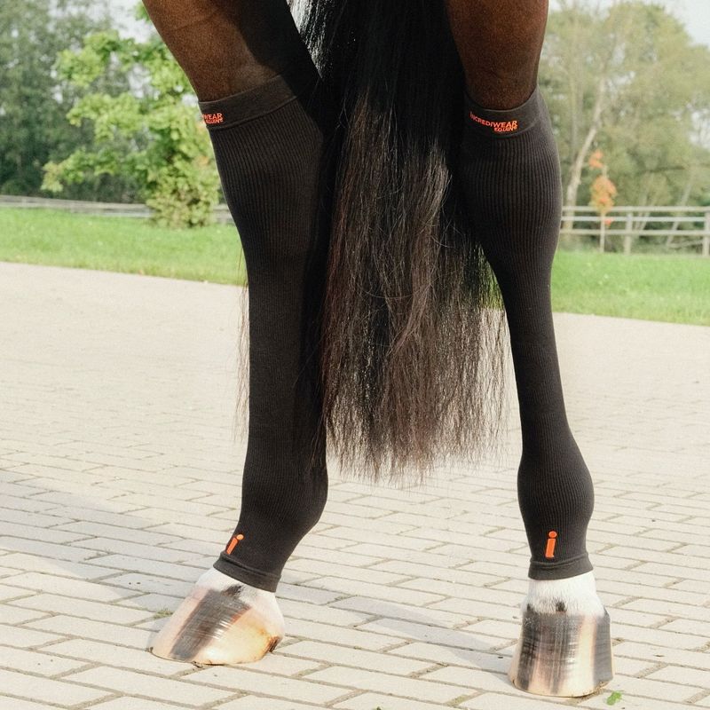 Incrediwear Equine Circulation Hock Sleeves – Sort
