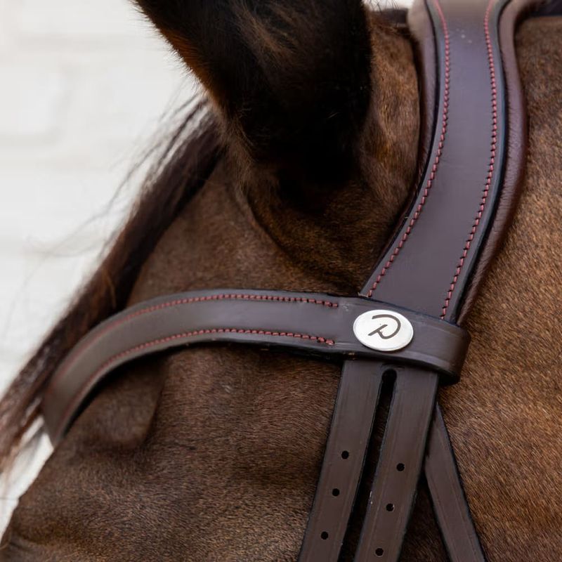 Dyon Flash Noseband Bridle Soft Leather Collection