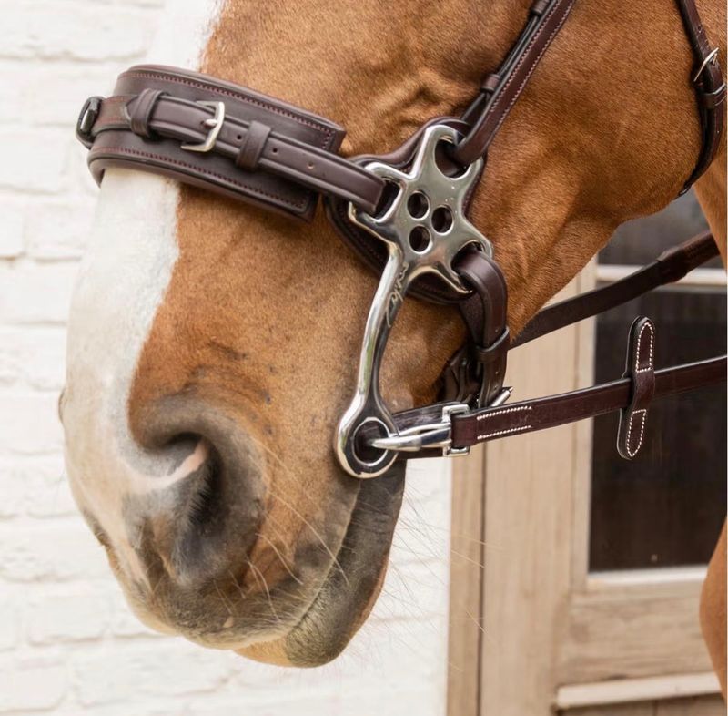 5/8 Rubber Reins with Leather Loops and Snap