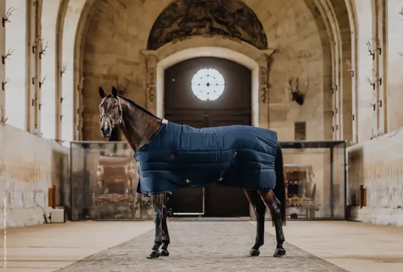 Kentucky Stable Rug Classic 100gr  -  Navy