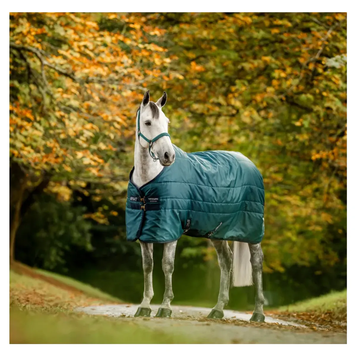 Amigo Ripstop Insulator Stable Rug 200 Gram - Dynasty Green! 