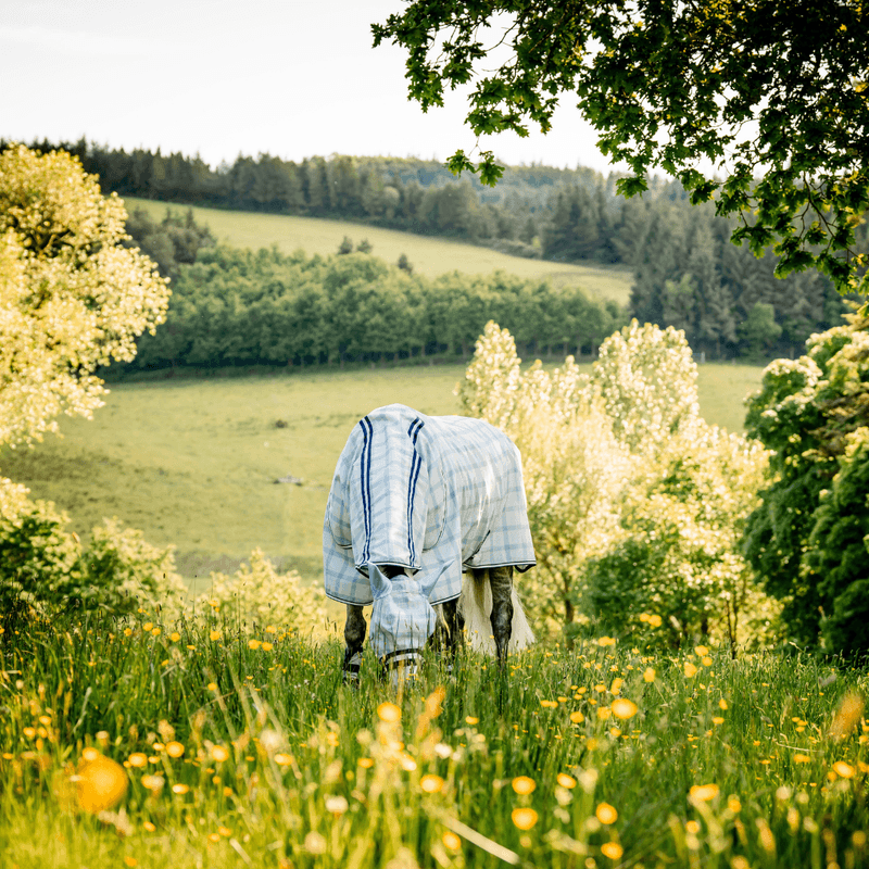 HORSEWARE NEWMARKET PLUS FLY SHEET