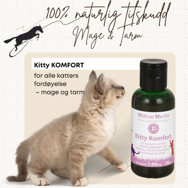 Hovedbilde Kitty Komfort Hilton Herbs