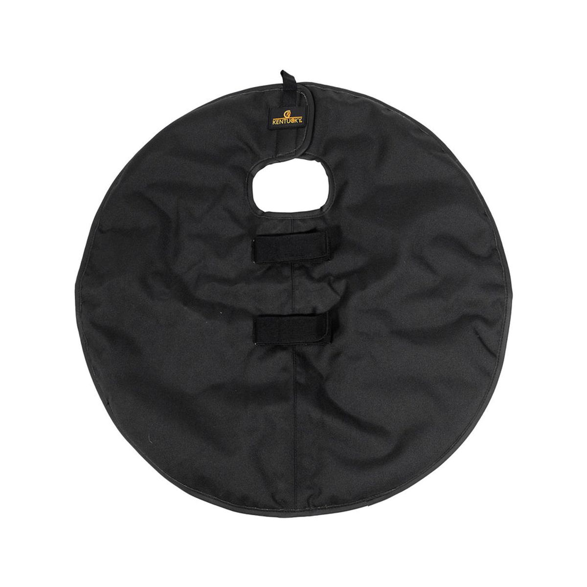 Kentucky Quarter Guard