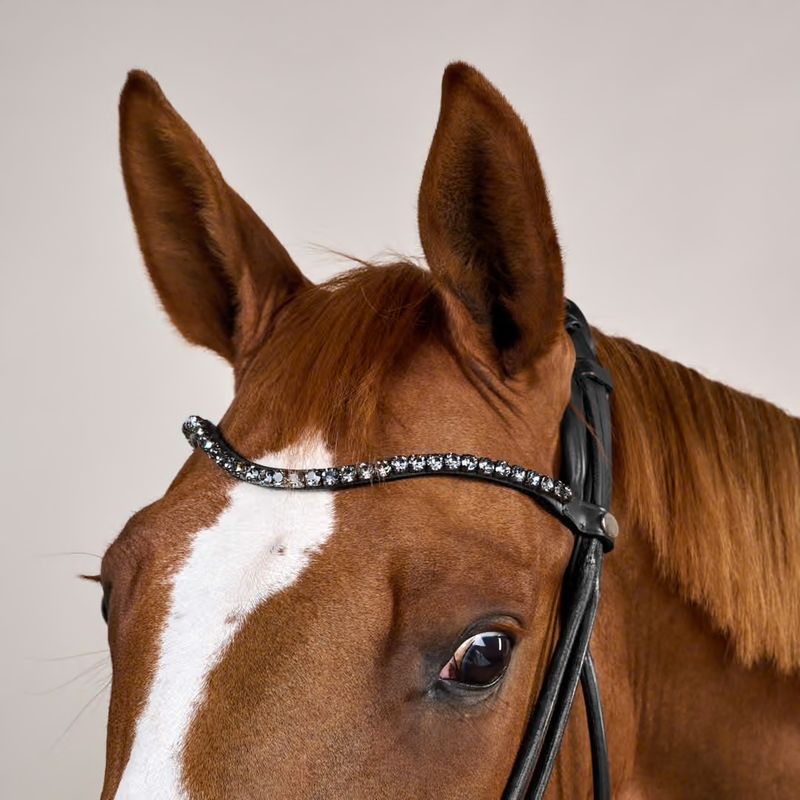 Bridle Round with Large Noseband Soft Leather