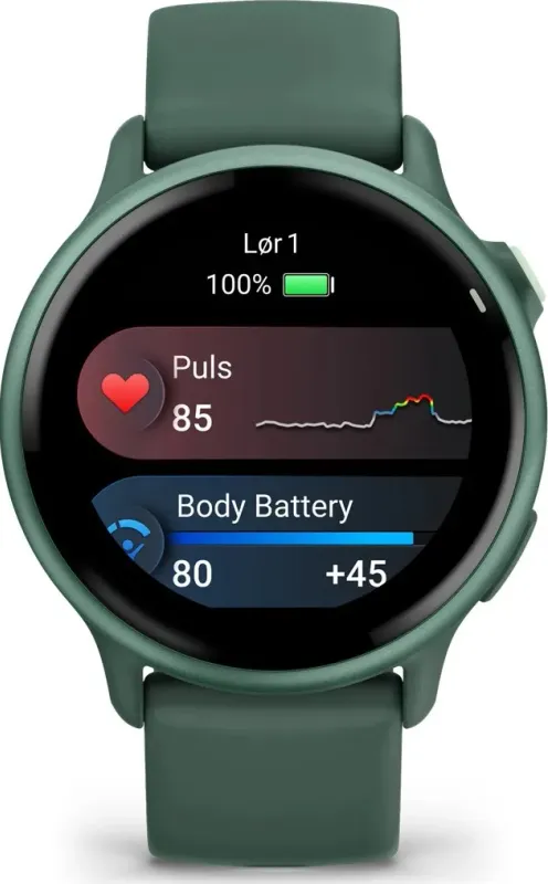 GARMIN vívoactive® 6