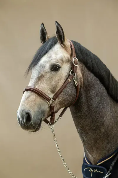 Hovedbilde Dyon Soft Leather Head Collar ...