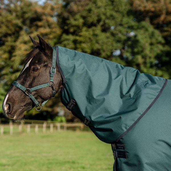 Hovedbilde Horseware Amigo Riptop 900D ...