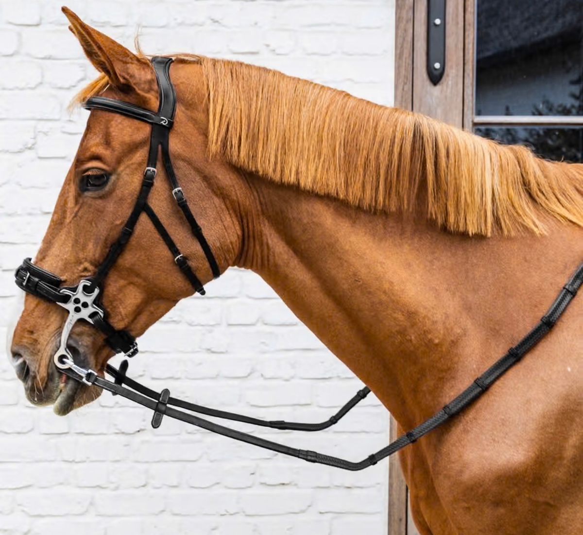 5/8 Rubber Reins with Leather Loops and Snap