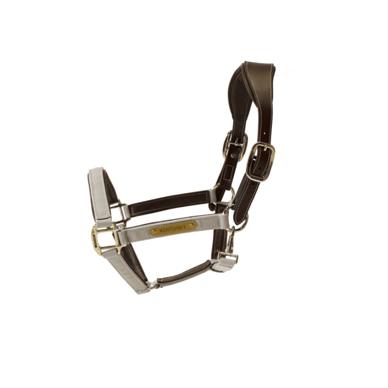 Kentucky Nylon Anatomic Halter