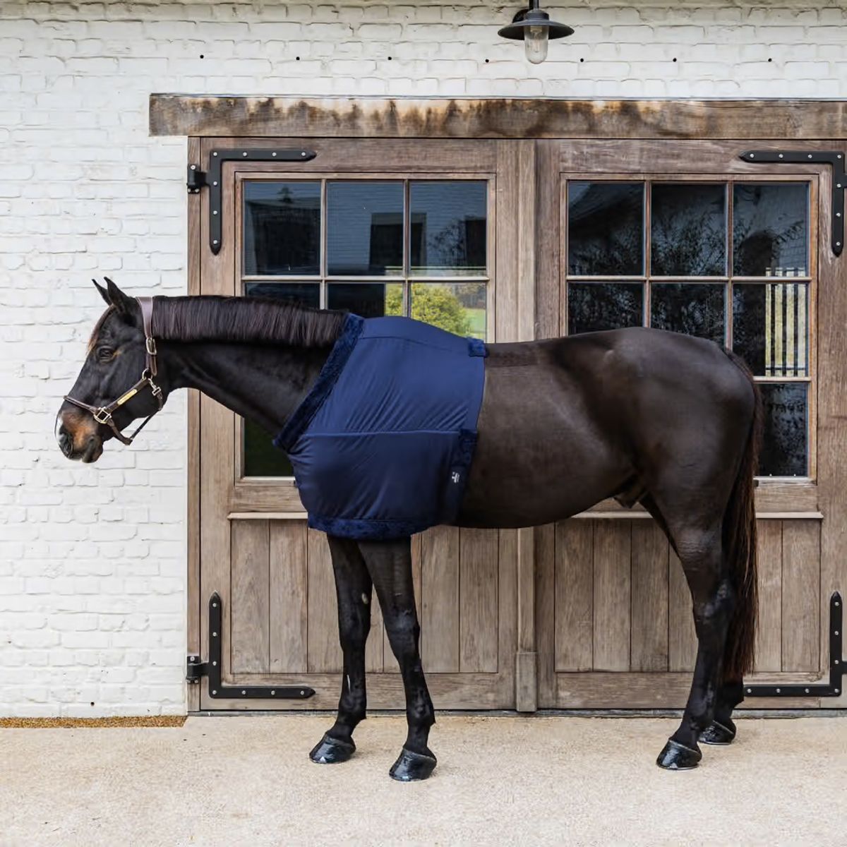 Kentucky Bogbeskytter (Chest protection)