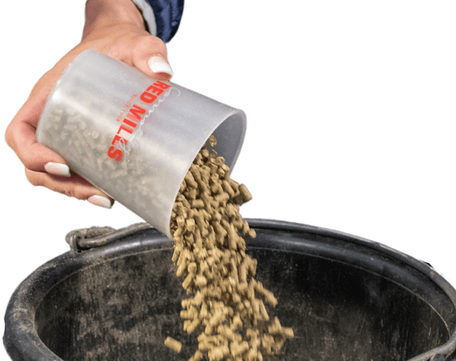 Hovedbilde RED MILLS Balancer cup
