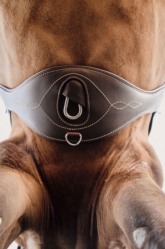 Kentucky Anatomic Girth