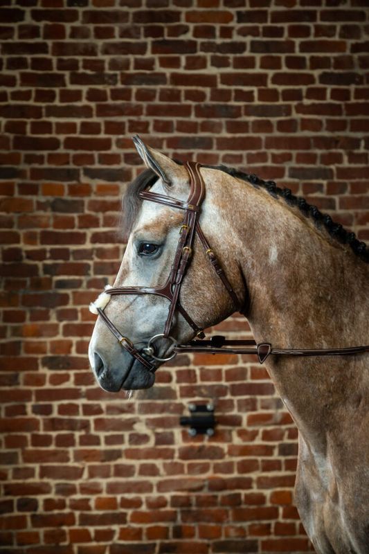 Dyon Noseband Bridle D Collection (Trinse med kryssneserem)