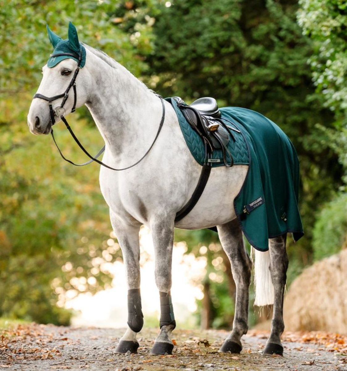 Horseware Amigo Jersey Cooler med eller uten brodering