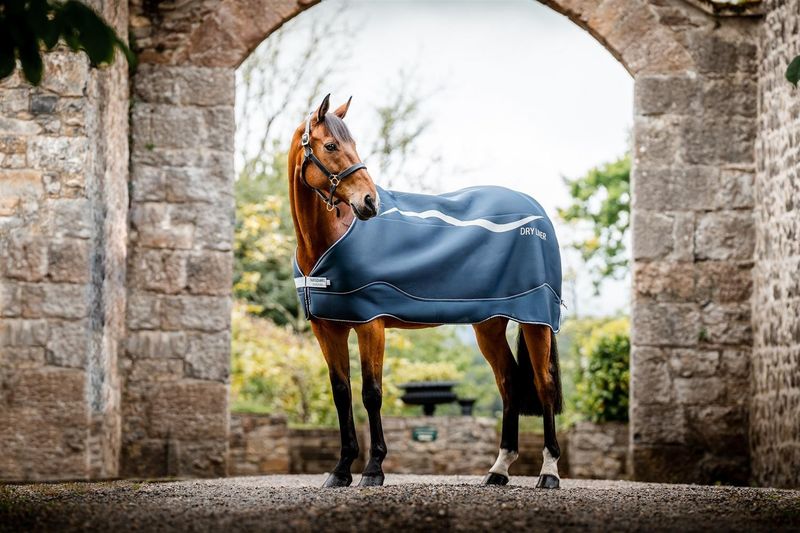 Horseware Dry Liner - Navy/Silver