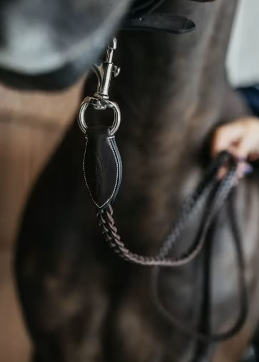 Dyon plaited lead