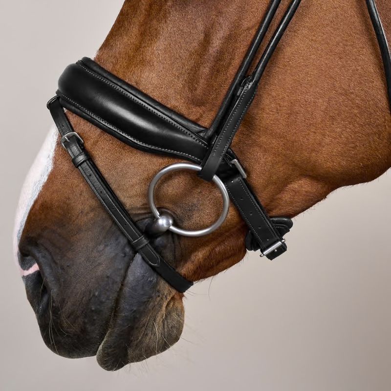 Bridle Round with Large Noseband Soft Leather