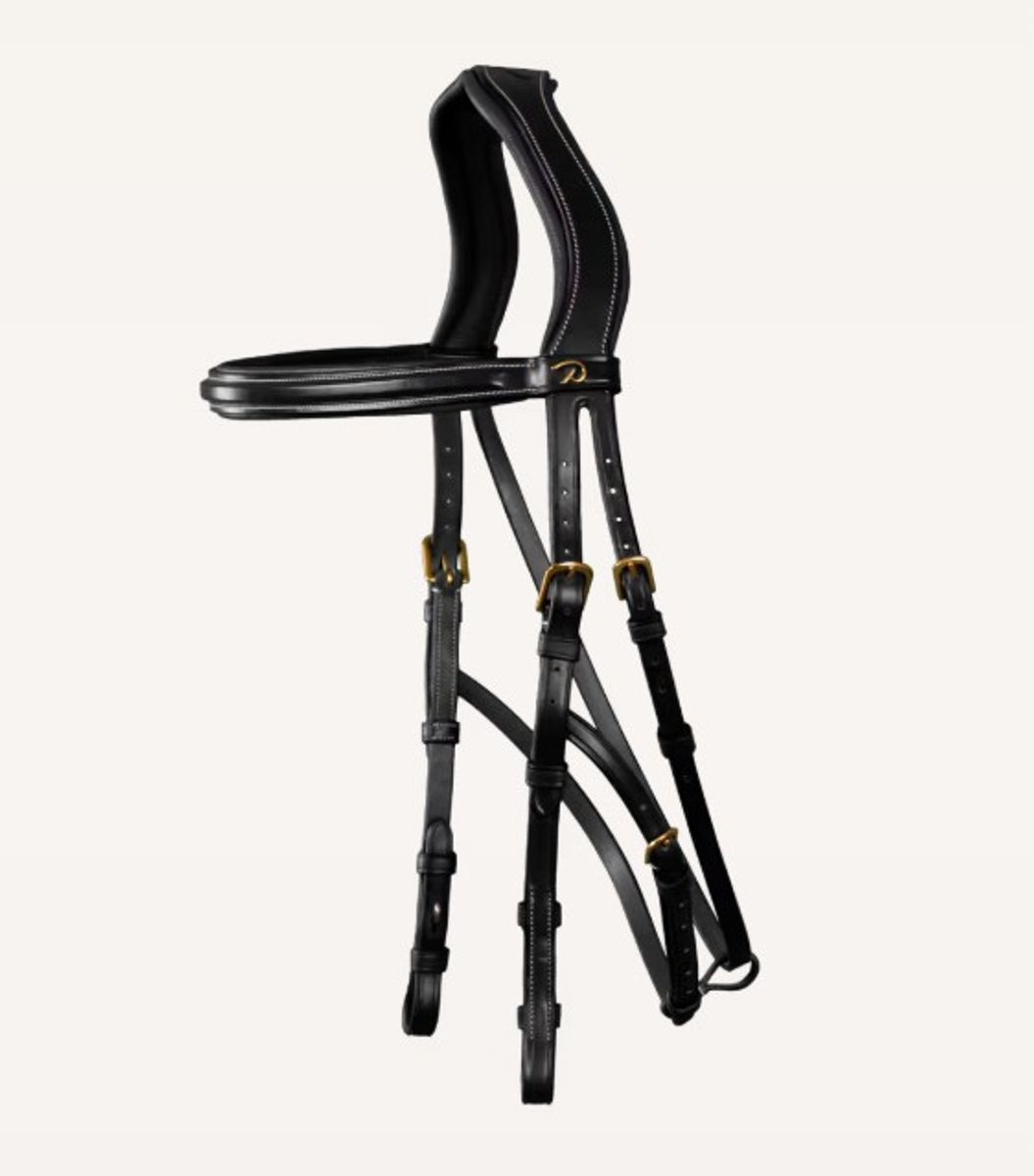Hackamore Bridle DY